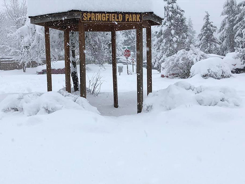 Springfield Park Snow